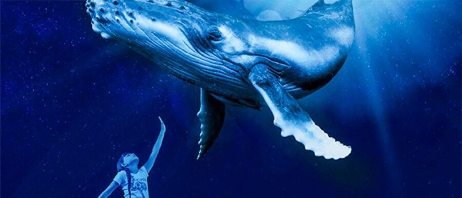 Mallorca: Palma Aquarium Entry Ticket w/ Optional 3D Cinema - Price and Value: Is $36 a Good Deal?