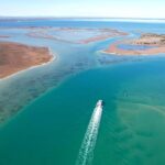 Mandurah: Dolphin & Giant Sightseeing Cruise - What You Can Expect