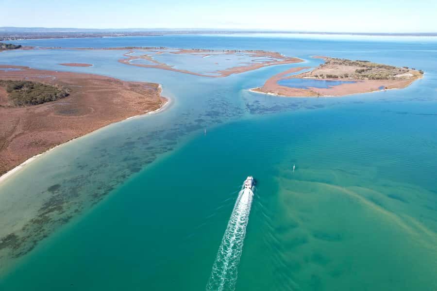 Mandurah: Dolphin & Giant Sightseeing Cruise - What You Can Expect