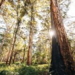 Margaret River 3 Day Escape - FAQs