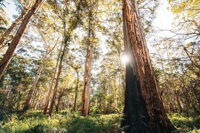 Margaret River 3 Day Escape - FAQs