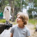 Margaret River: Birds of Prey Encounter and Forest Walk - The Practical Details: What to Expect
