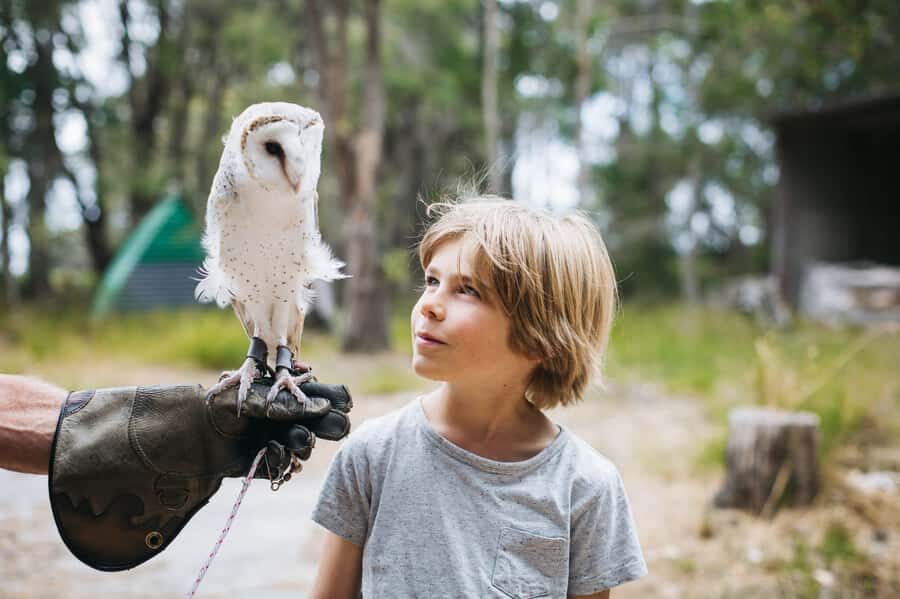 Margaret River: Birds of Prey Encounter and Forest Walk - The Practical Details: What to Expect