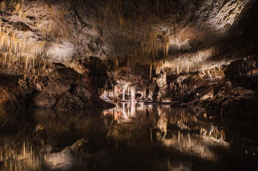 Margaret River: Lake Cave Fully-Guided Tour - Who Will Love This Tour?