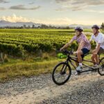 Marlborough: Full-Day Self-Guided Biking Wine Tour - The Winery Stops and Experiences