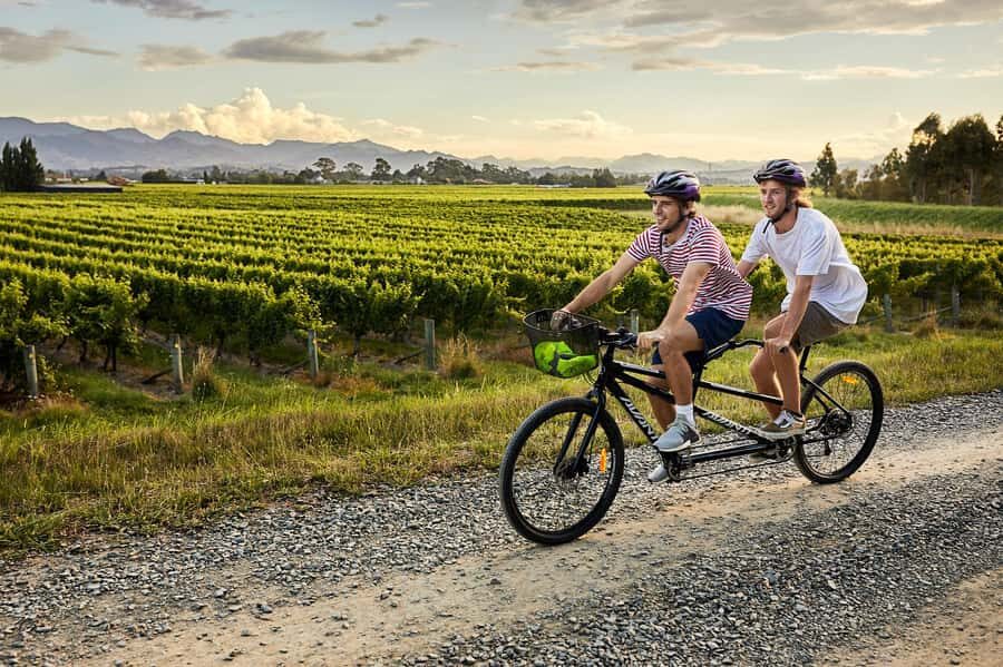 Marlborough: Full-Day Self-Guided Biking Wine Tour - The Winery Stops and Experiences