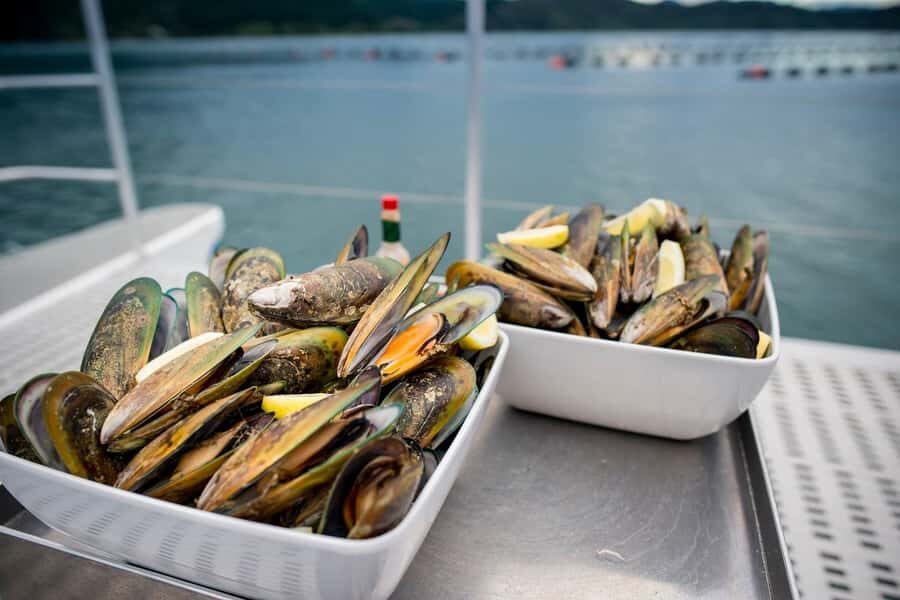 Marlborough: Full-Day Wine and Seafood Tour with Cruise - An Honest Look at the Full-Day Marlborough Tour