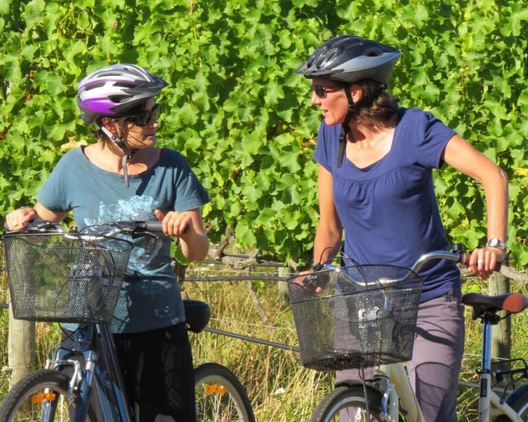Marlborough: Half Guided and Half Self-Guided Bike Wine Tour - The Morning Guided Experience
