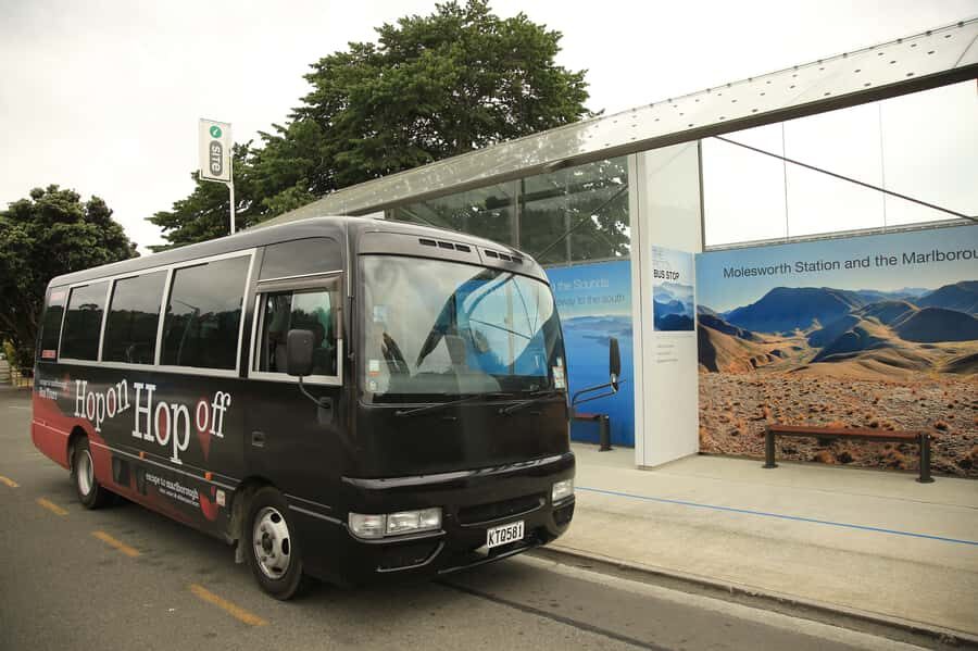 Marlborough: Hop-On Hop-Off Wine, Brewery, and Wonders Tour - The Wine and Food Experience