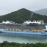 Marlborough Wine Region Tour from the Port of Picton - An In-Depth Look at the Marlborough Wine Region Tour