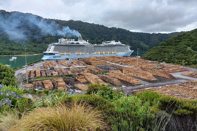 Marlborough Wine Tour - Picton Cruise Ship Shore Excursion Tour - Who Would Love This Tour?