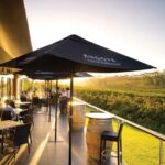 McLaren Vale North: Hop-On Hop-Off Tour - The Experience Breakdown: What a Typical Day Looks Like