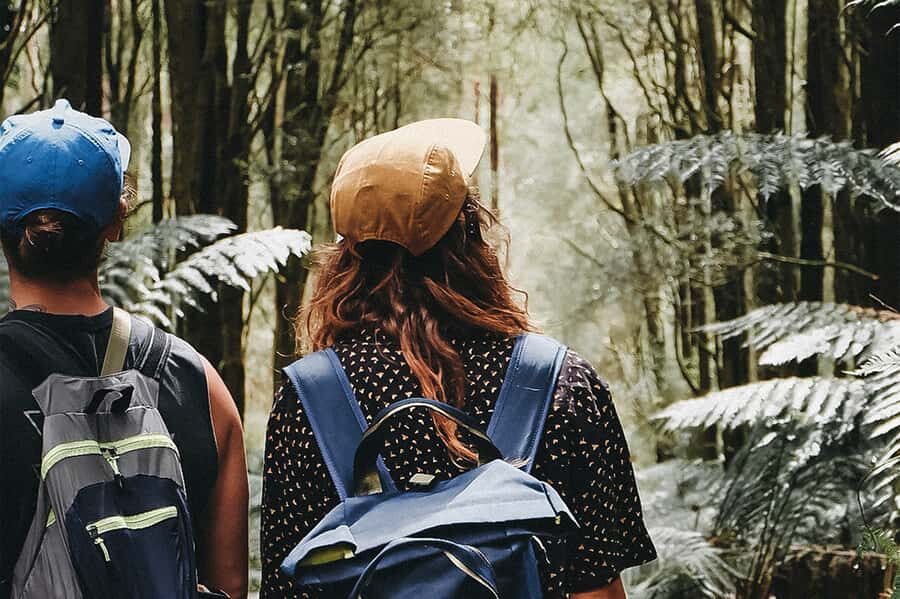 Melbourne: 12 Apostles, Otways & Great Ocean Road Day Tour - Gibson Steps and Photo Opportunities