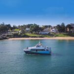 Melbourne: French and Phillip Island Wildlife Expedition - Transportation and Group Size