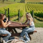 Melbourne: Full-Day Yarra Valley Wine Experience with Lunch - The Itinerary in Detail