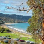 Melbourne: Great Ocean Road & Iconic Coastal Views Day Tour - The Value of the Tour