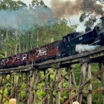 Melbourne: Half-Day Puffing Billy Steam Train Experience - The Puffing Billy Steam Train Ride