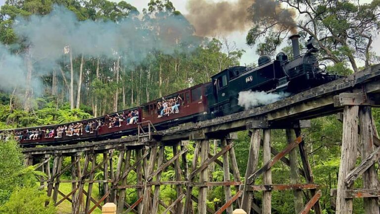 Melbourne: Half-Day Puffing Billy Steam Train Experience - The Puffing Billy Steam Train Ride