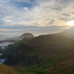 Melbourne: Phillip Island Tour & Penguin Parade - The Wildlife Experience