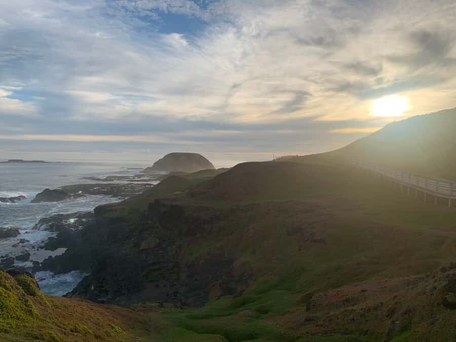 Melbourne: Phillip Island Tour & Penguin Parade - The Wildlife Experience