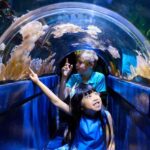 Melbourne: SEA LIFE Aquarium Entrance Ticket - How Long Should You Spend?