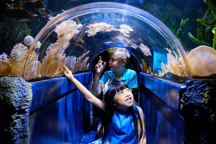 Melbourne: SEA LIFE Aquarium Entrance Ticket - How Long Should You Spend?