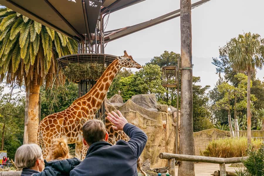 Melbourne Zoo: 1-Day Entry Ticket - Is It Worth the Price?