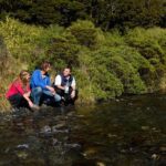 Milford Sound Day Tour with Scenic Cruise from Queenstown - The Comfort and Convenience of the Tour