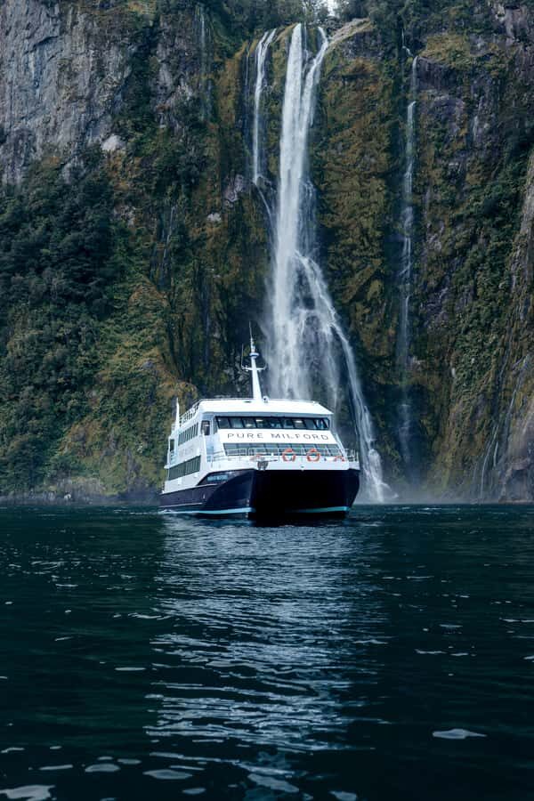 Milford Sound: Nature Cruise on a Modern Catamaran - The Value of This Cruise