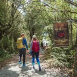 Milford Sound: Self-Guided Milford Track Day Walk - What Travelers Say