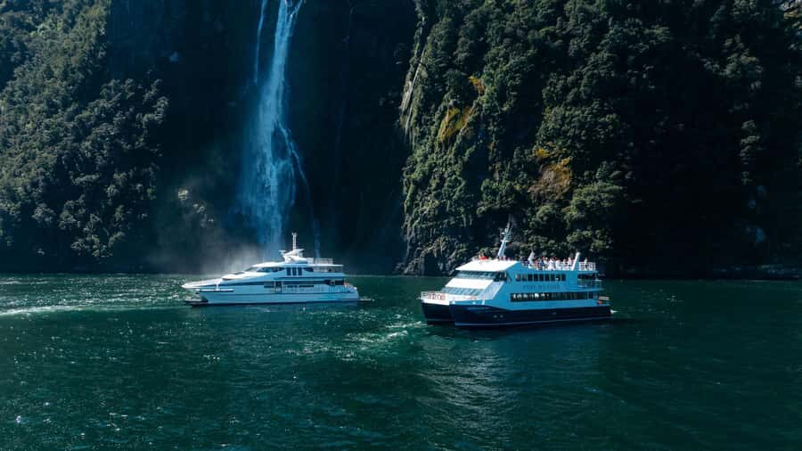 Milford Sound: Waterfalls, Wildlife, and Rainforest Cruise - The Scenic Highlights