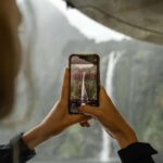 Milford Sound: Wildlife & Nature Cruises - Wildlife Encounters: Expect the Unexpected