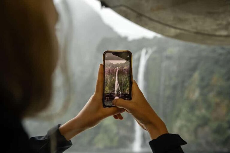 Milford Sound: Wildlife & Nature Cruises - Wildlife Encounters: Expect the Unexpected