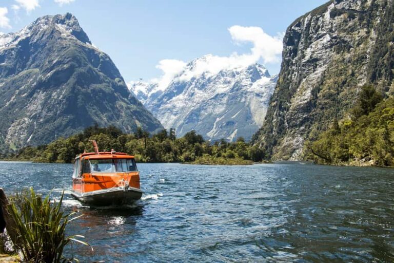 Milford Track: Full Day Guided Hike and Nature Cruise - The Good, the Not-So-Good, and Who It’s For