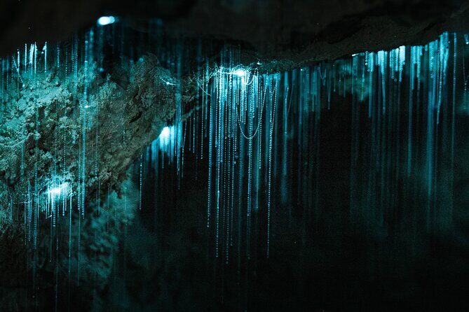 Milky Way Glowworm Cave Tour - Final Thoughts: Who Should Do This Tour?