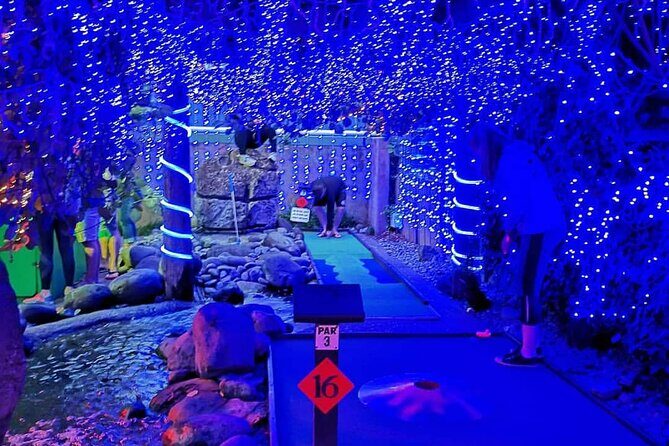 Mini Golf with Rabbits in Rotorua - The Experience: What You Can Expect