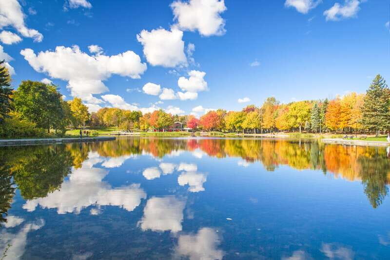 Montreal: Guided Bus Tour - Price and what you get for $26