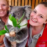 Moonlit Sanctuary Conservation Park Entry Ticket - The Animal Encounters and Shows