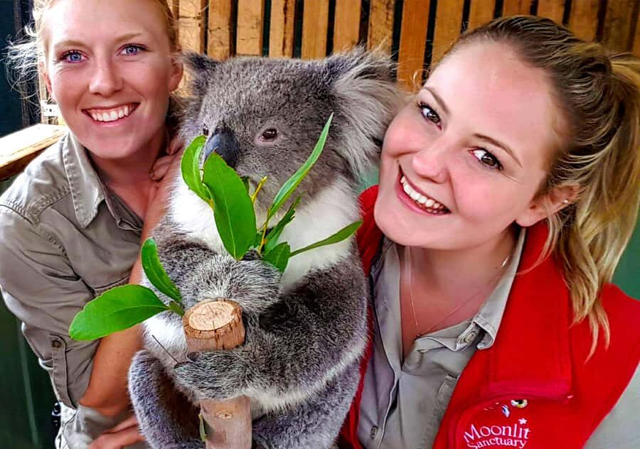 Moonlit Sanctuary Conservation Park Entry Ticket - The Animal Encounters and Shows