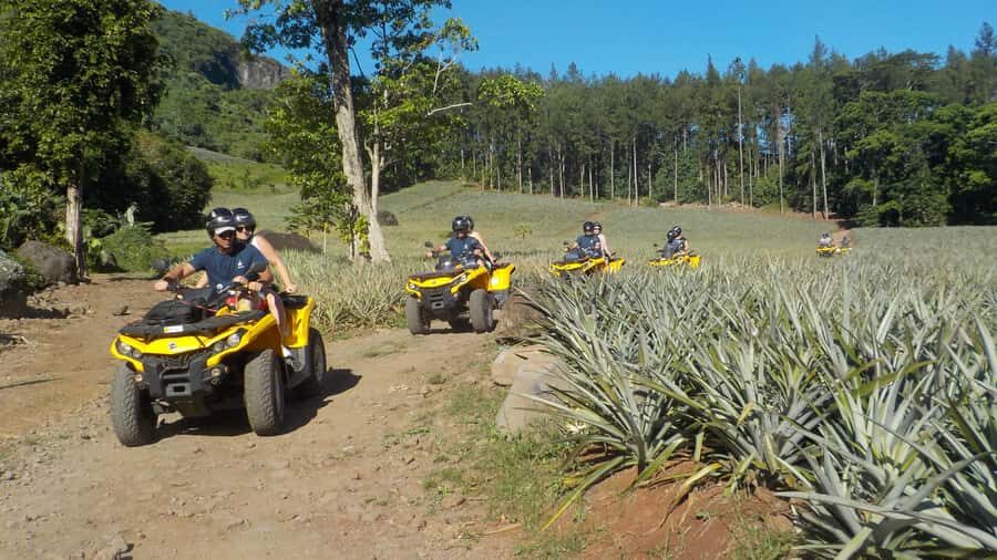 Mo'orea: Guided ATV Nature Tour - What Makes This Tour Stand Out?