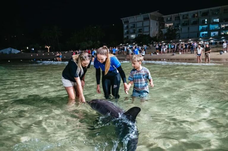 Moreton Island: Marine Discovery Cruise & Dolphin Feeding - The Itinerary in Detail