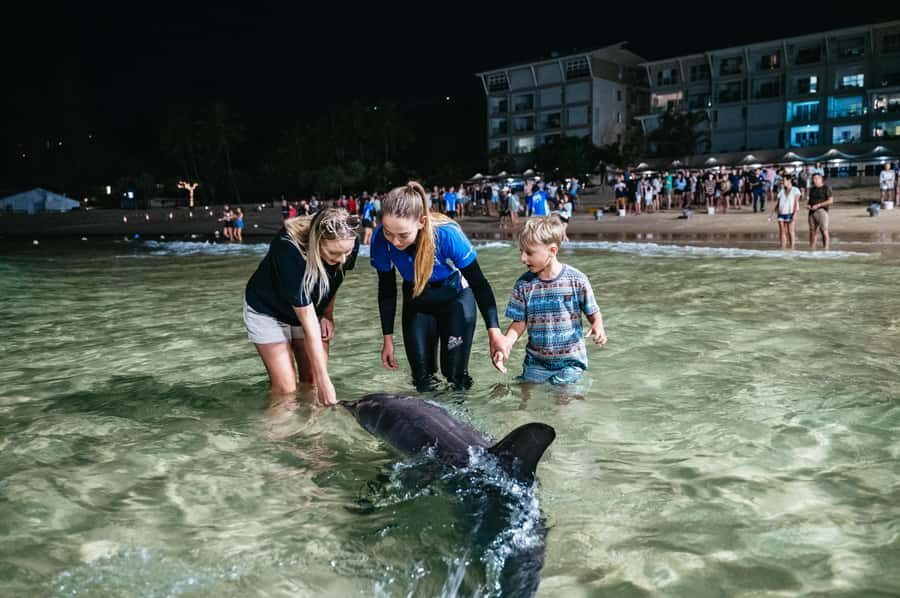 Moreton Island: Marine Discovery Cruise & Dolphin Feeding - The Itinerary in Detail