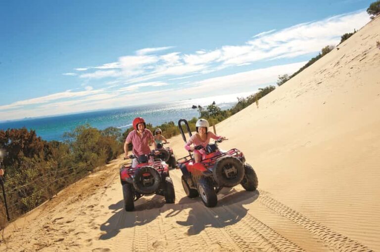 Moreton Island: Tangalooma ATV Quad Bike and Dolphin Viewing - A Closer Look at the Experience