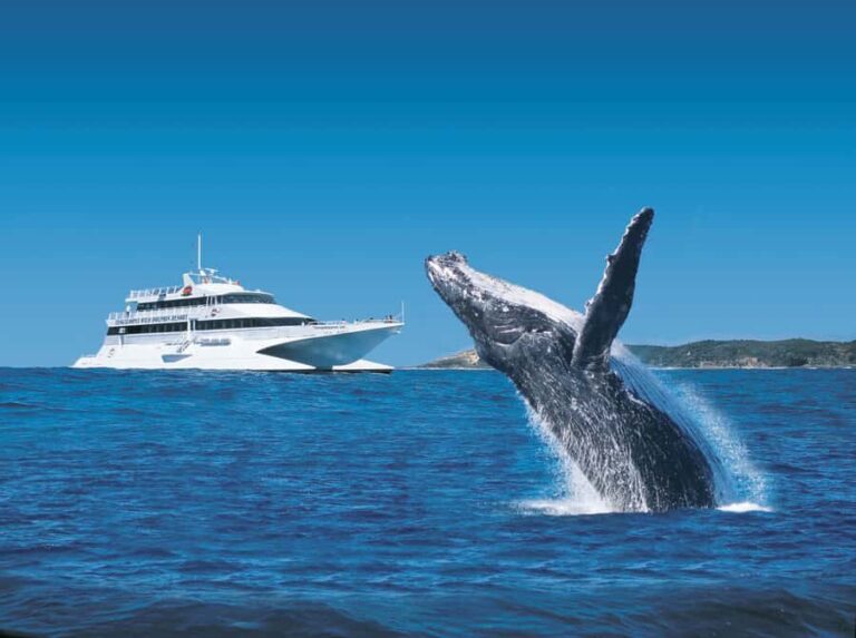 Moreton Island: Tangalooma Day Trip & Whale Watching Cruise - What the Reviews Say
