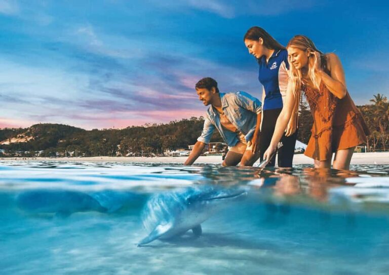 Moreton Island: Tangalooma Snorkeling Tour & Dolphin Feeding - Transportation and Timing