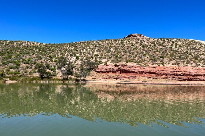Morning Cruise on the Murchison River in Kalbarri (April to Nov) - The Real Value of the Tour