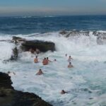 Morning or Afternoon Highlights Tour in Sydney with a Local Guide - Points to Keep in Mind