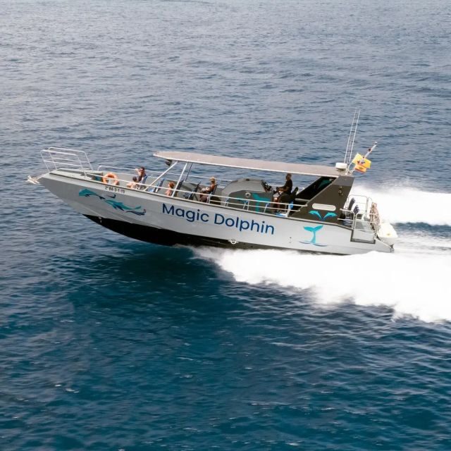 Morro Jable: Dolphin & Whale Watching Cruise, Drinks & Swim - Magic Dolphin Boat: Deck Views, Toilets, and Comfort