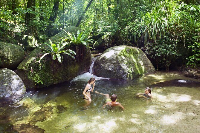 Mossman Gorge Daintree Experience Small Groups - What Makes This Tour Stand Out?