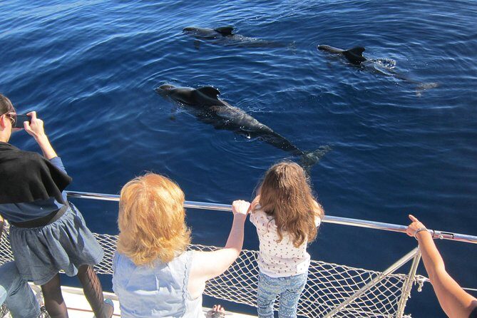 Most Famous Catamaran in Tenerife Island (2 hours and 3 hours tours) - Duration and what changes between 2 and 3 hours